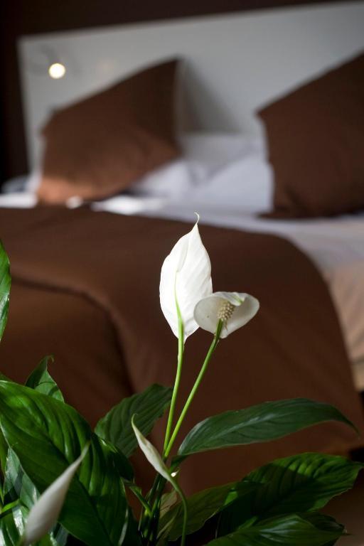 Hotel La Sequia Molinar Campdevánol Kültér fotó
